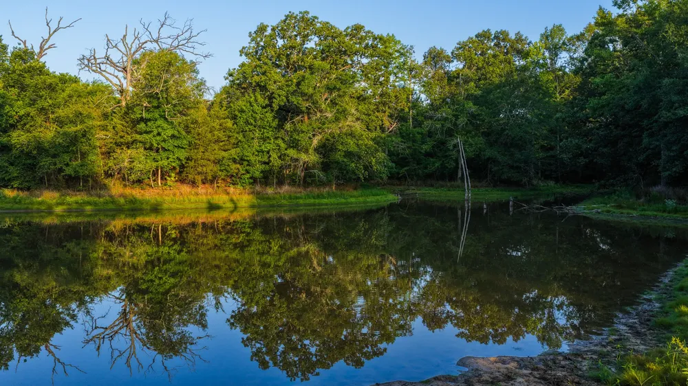 VZ County Road 4912 Ben Wheeler, TX 75754