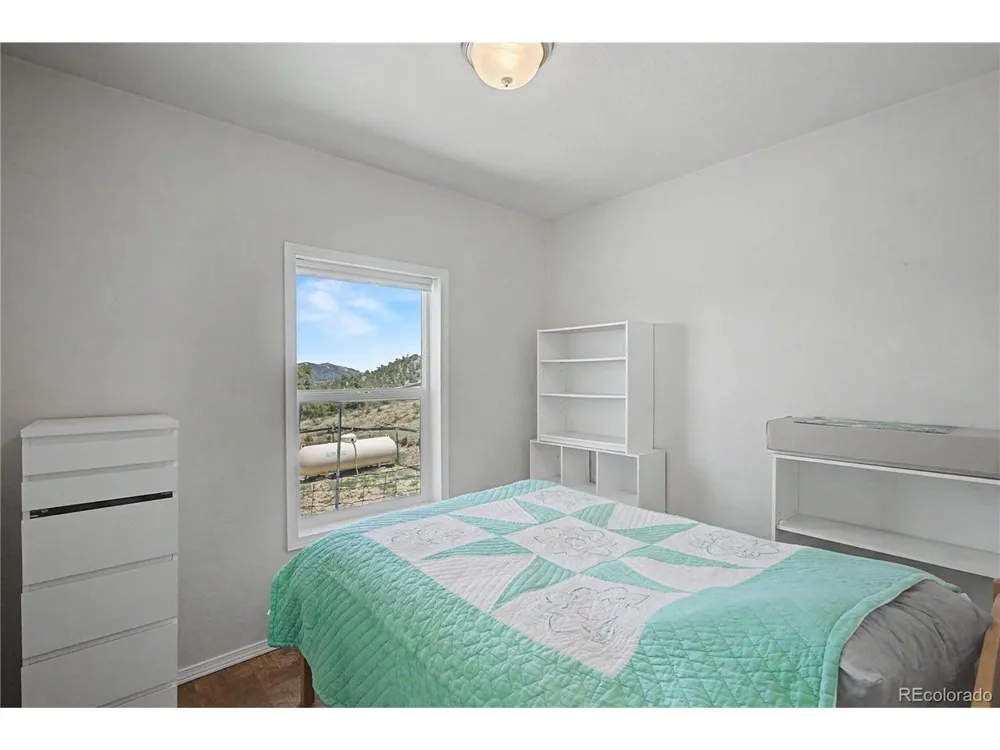 247 Shannon Trail Cotopaxi, CO 81223