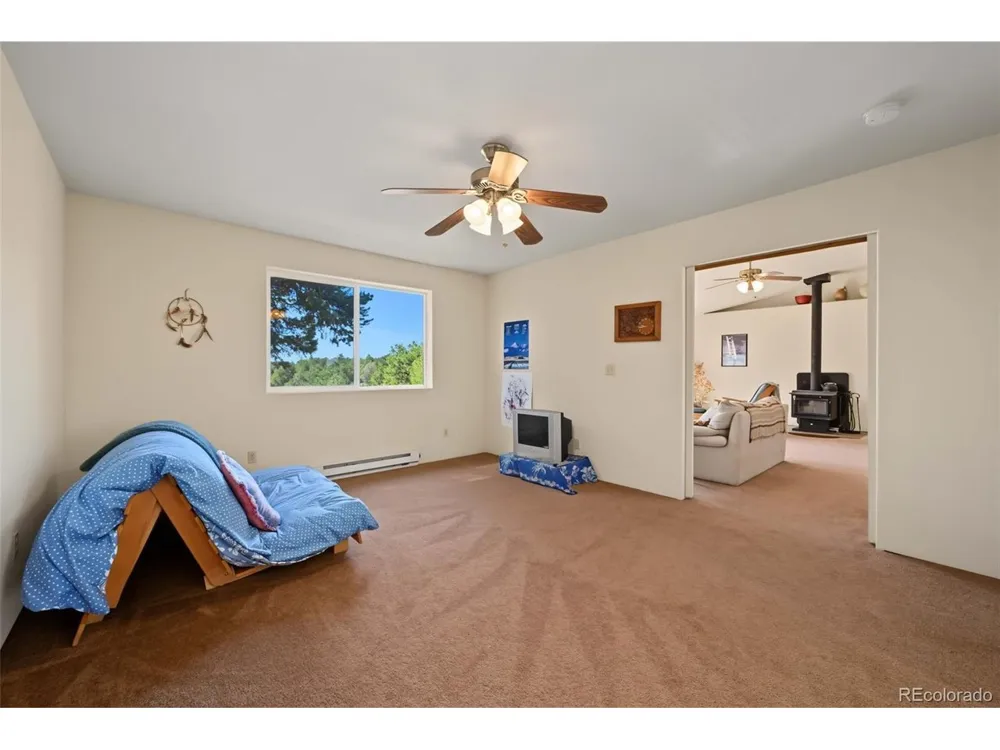 356 Iron Mountain Lane Cotopaxi, CO 81223
