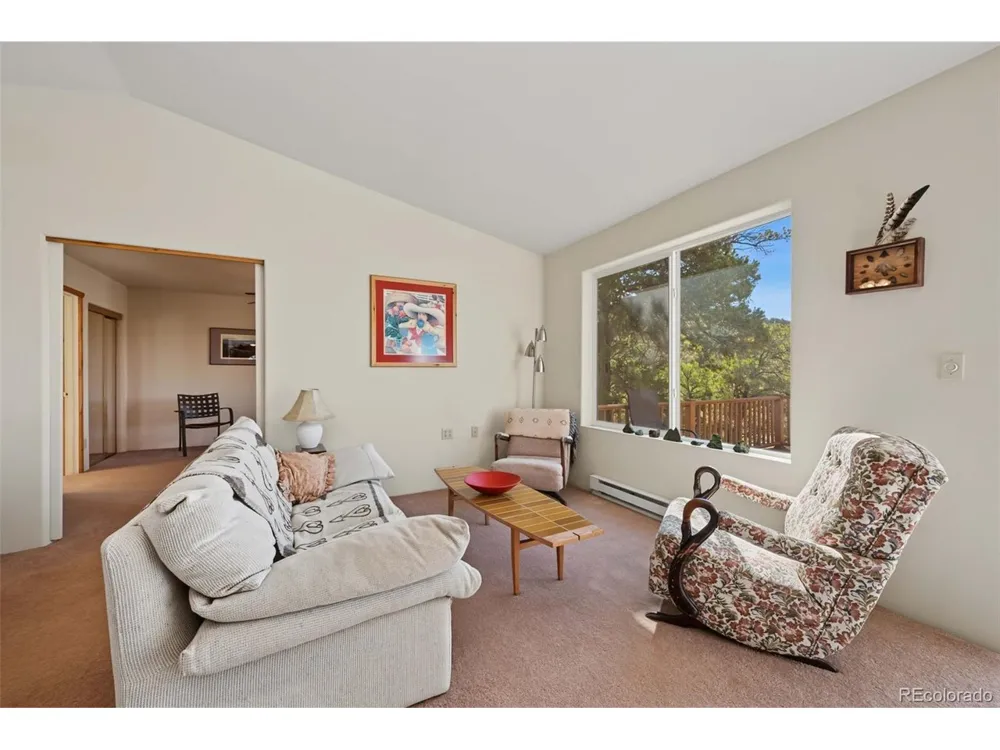 356 Iron Mountain Lane Cotopaxi, CO 81223