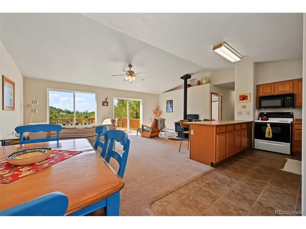 356 Iron Mountain Lane Cotopaxi, CO 81223