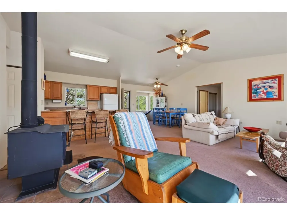 356 Iron Mountain Lane Cotopaxi, CO 81223