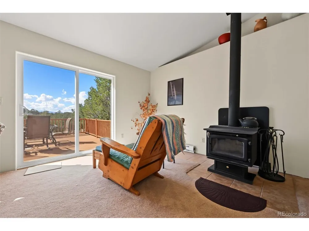 356 Iron Mountain Lane Cotopaxi, CO 81223