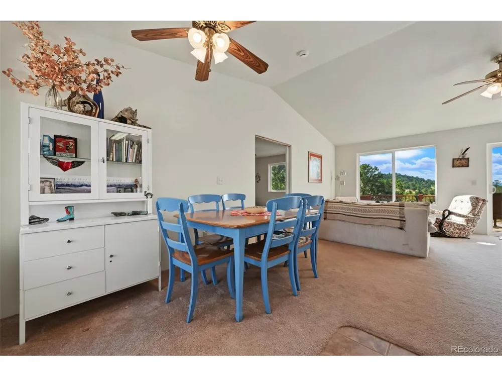 356 Iron Mountain Lane Cotopaxi, CO 81223