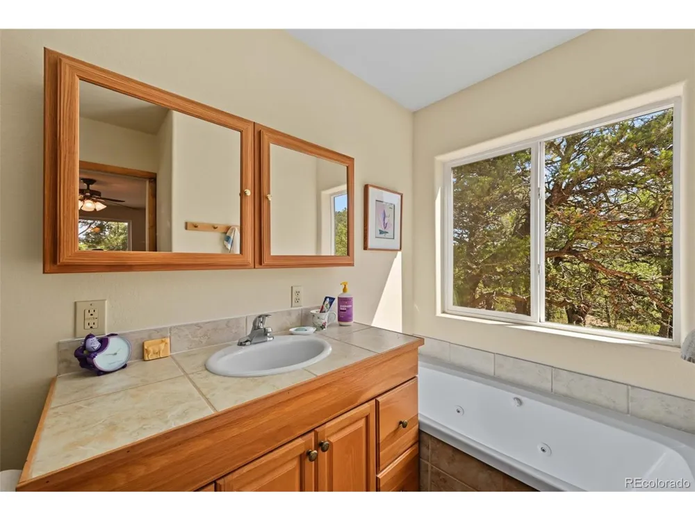 356 Iron Mountain Lane Cotopaxi, CO 81223