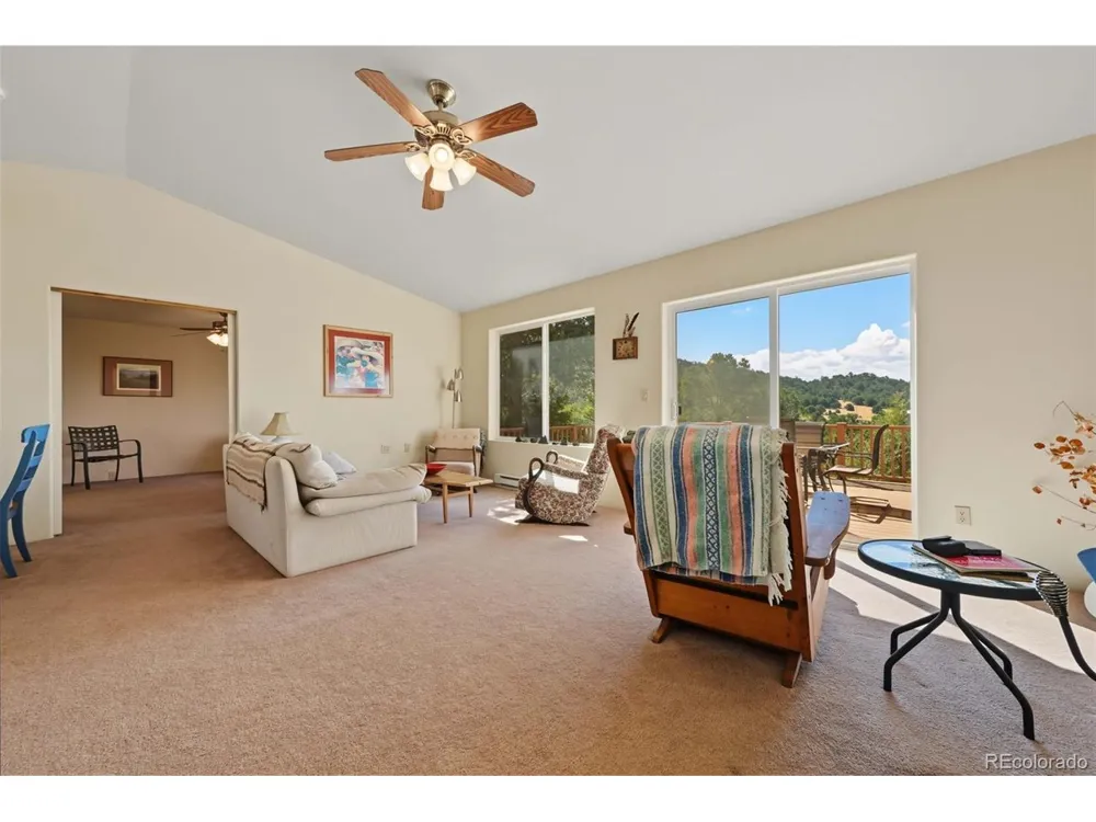 356 Iron Mountain Lane Cotopaxi, CO 81223