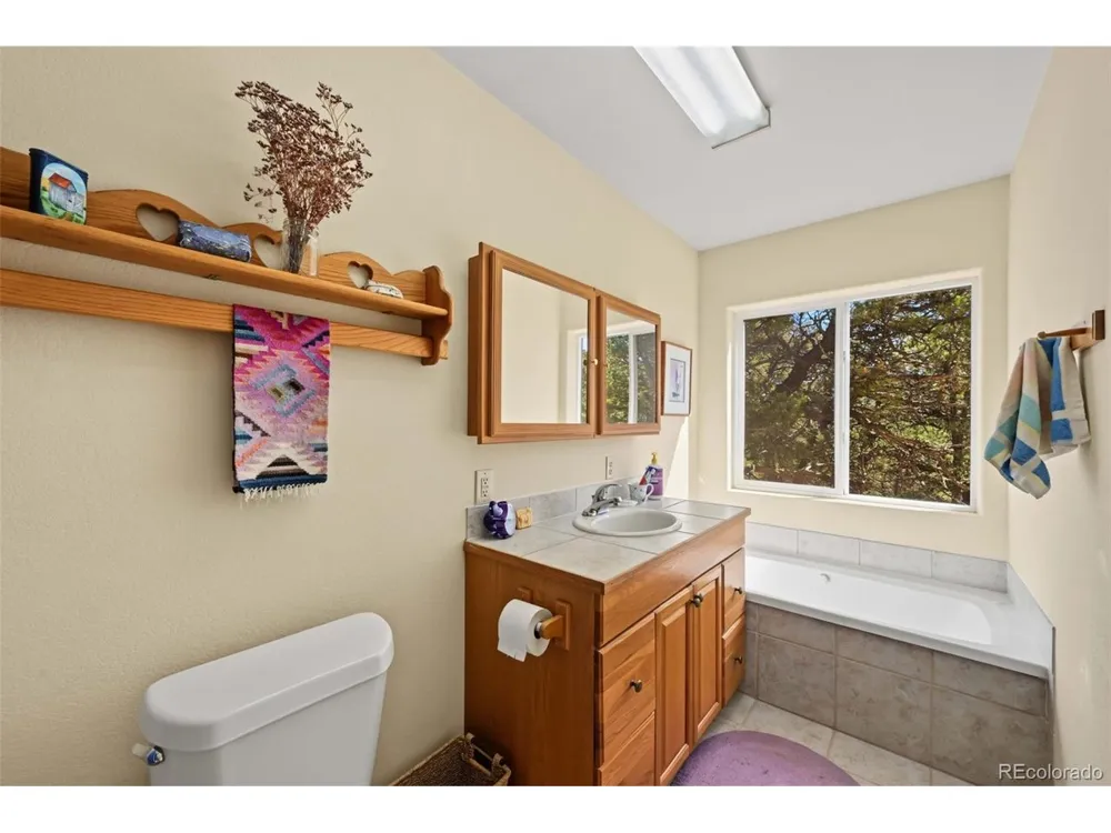 356 Iron Mountain Lane Cotopaxi, CO 81223