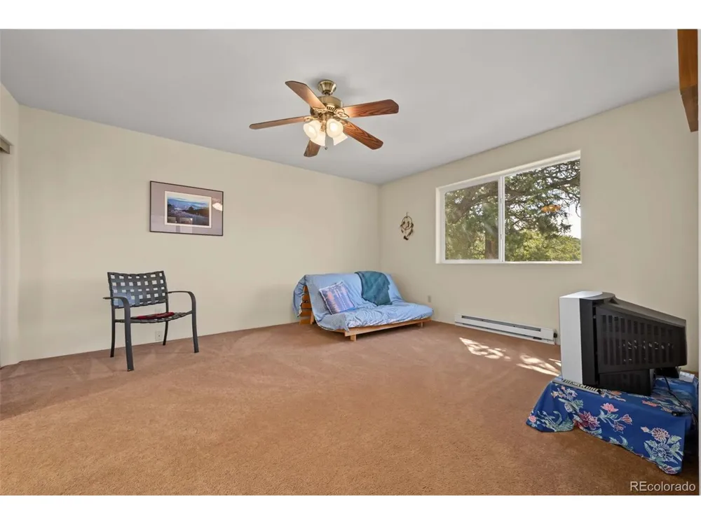 356 Iron Mountain Lane Cotopaxi, CO 81223