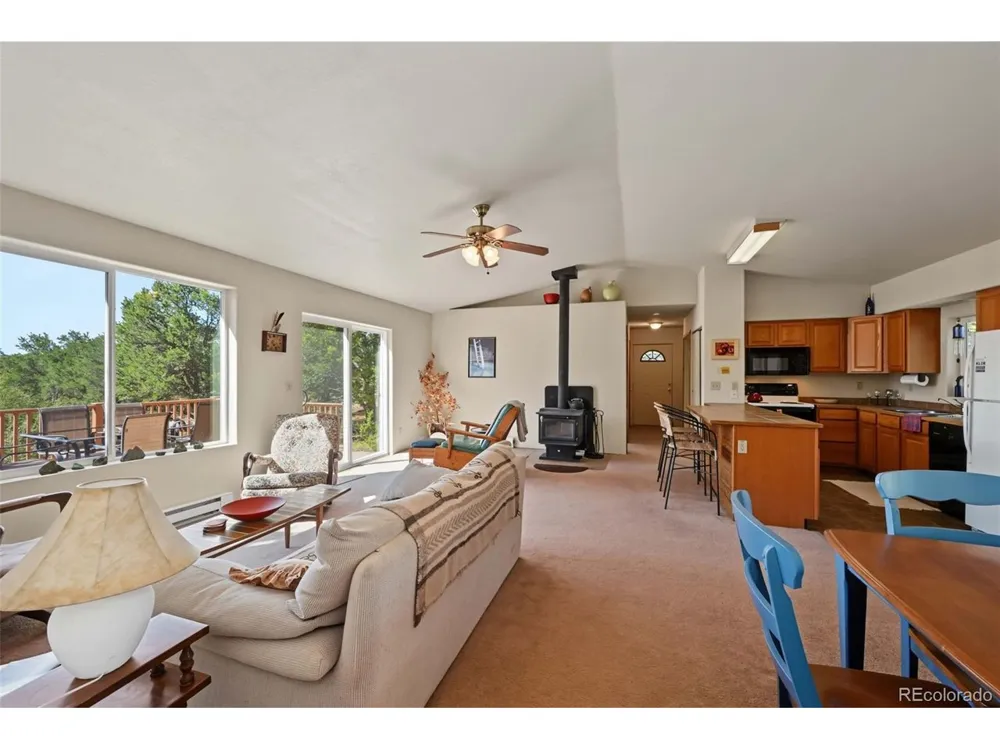 356 Iron Mountain Lane Cotopaxi, CO 81223
