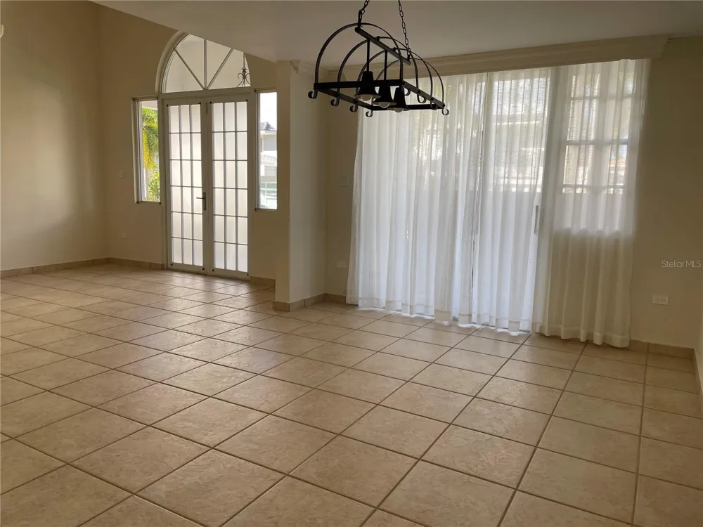 Palma Real COCO PLUMOSA Guaynabo, PR 00966