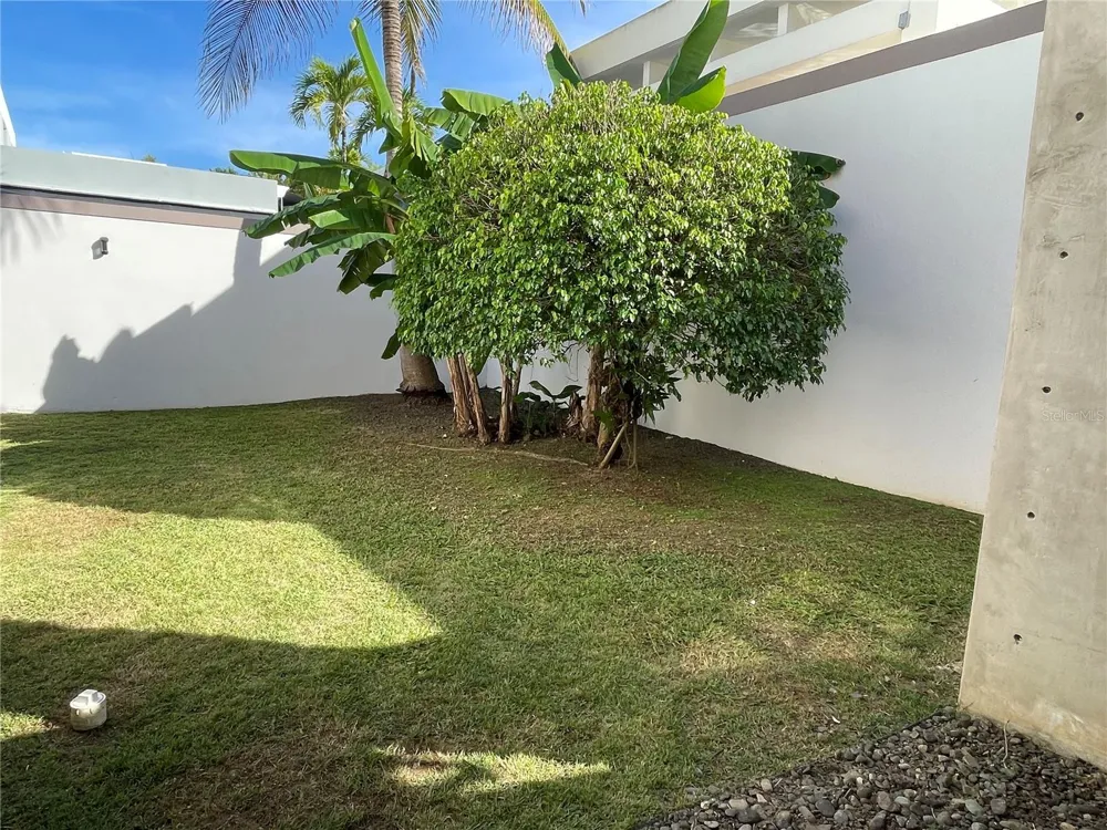 Palma Real COCO PLUMOSA Guaynabo, PR 00966