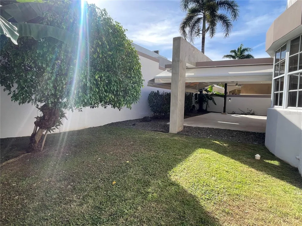Palma Real COCO PLUMOSA Guaynabo, PR 00966