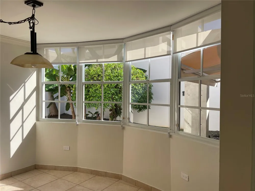 Palma Real COCO PLUMOSA Guaynabo, PR 00966