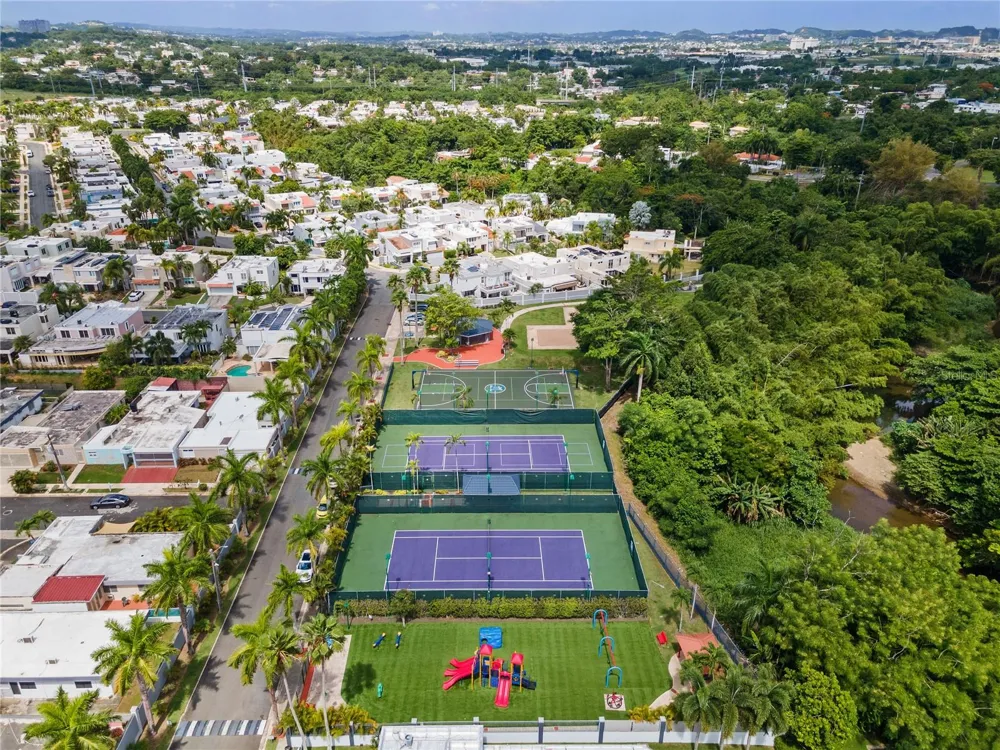 Palma Real COCO PLUMOSA Guaynabo, PR 00966