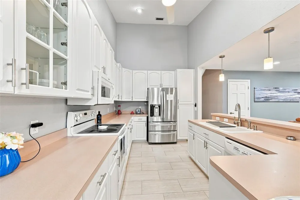 1821 LAKE HERON DRIVE Lutz, FL 33549