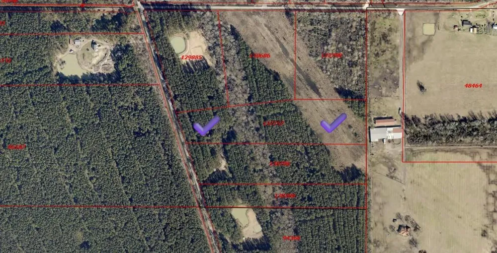 401 Pelican Road Shepherd, TX 77371