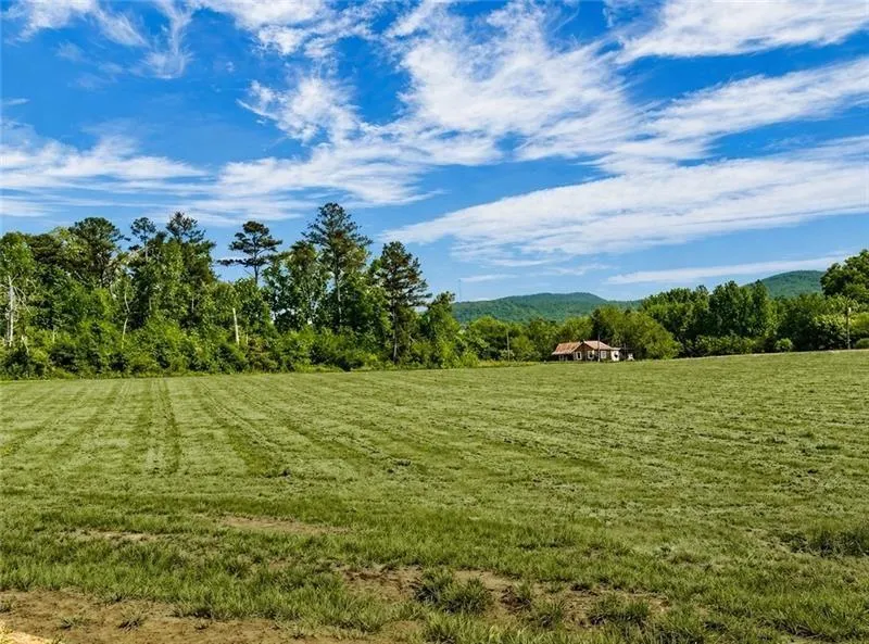 118 Palisade Drive Rydal, GA 30171