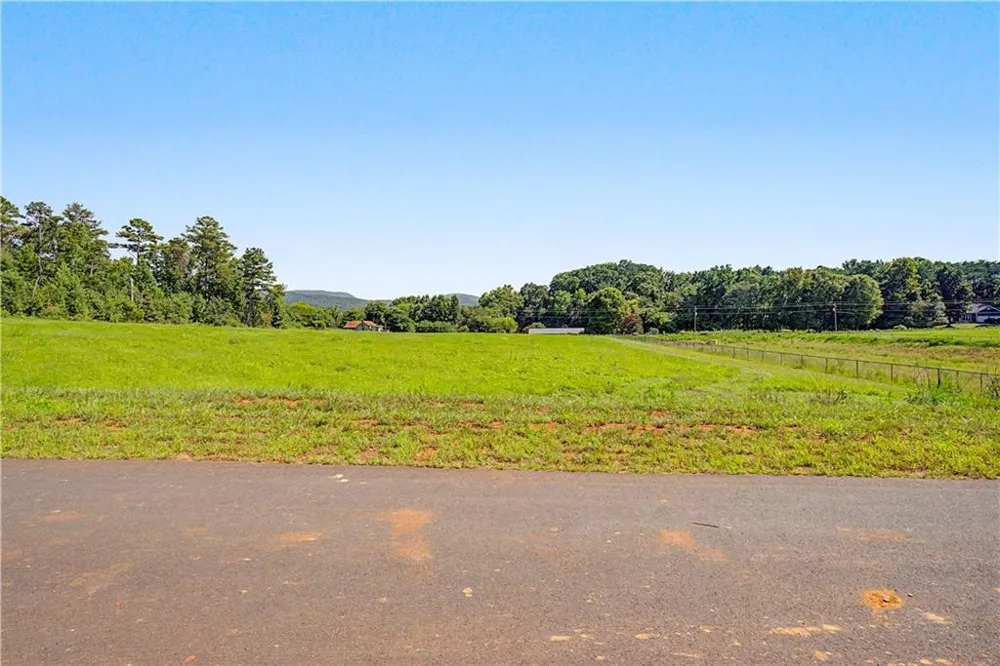 118 Palisade Drive Rydal, GA 30171