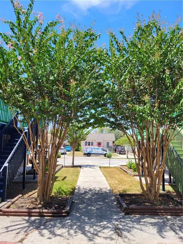 425 Clifford Street #7 Corpus Christi, TX 78404