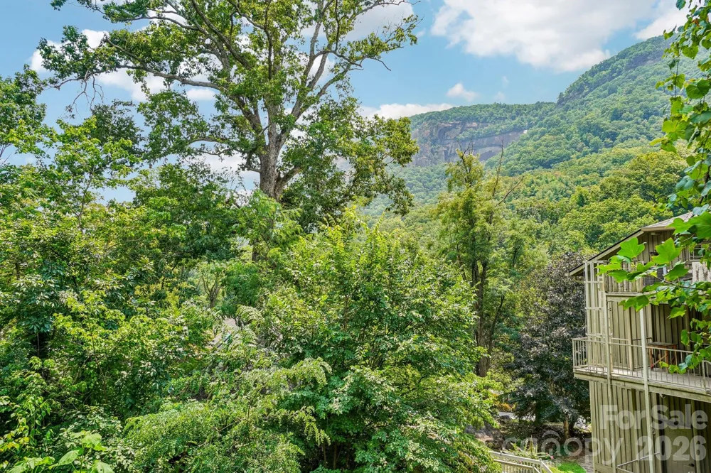 950 Main Street #4 Chimney Rock, NC 28720