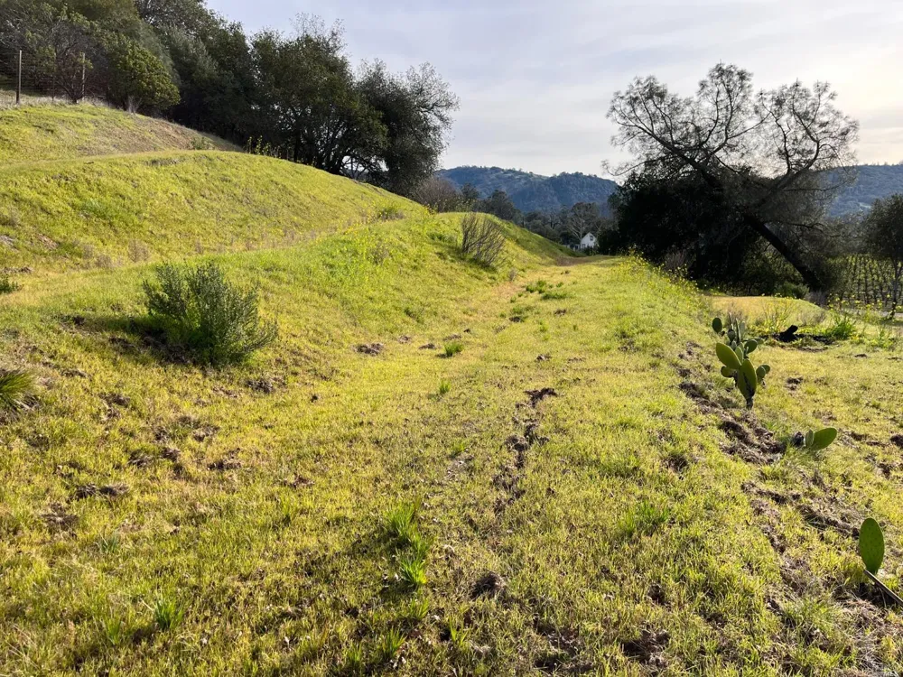 31420 Highway 128 Cloverdale, CA 95425