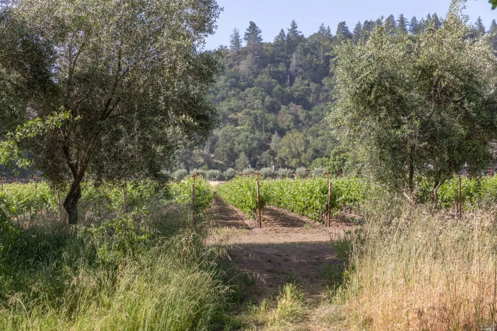 31420 Highway 128 Cloverdale, CA 95425