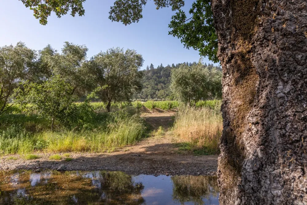 31420 Highway 128 Cloverdale, CA 95425
