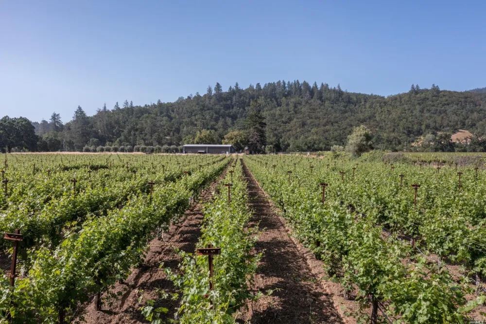 31420 Highway 128 Cloverdale, CA 95425