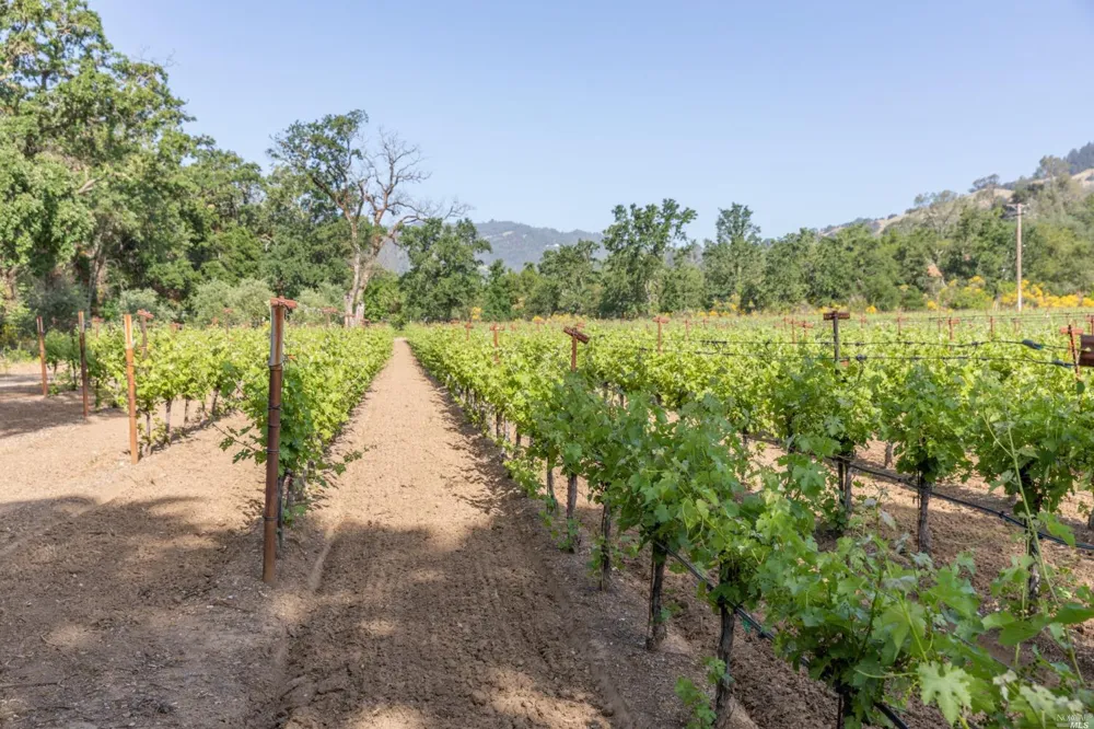 31420 Highway 128 Cloverdale, CA 95425