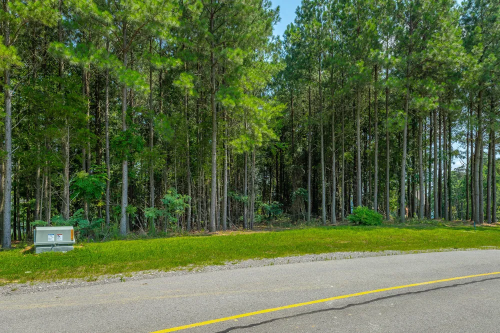 Crockett Loop Jasper, TN 37347