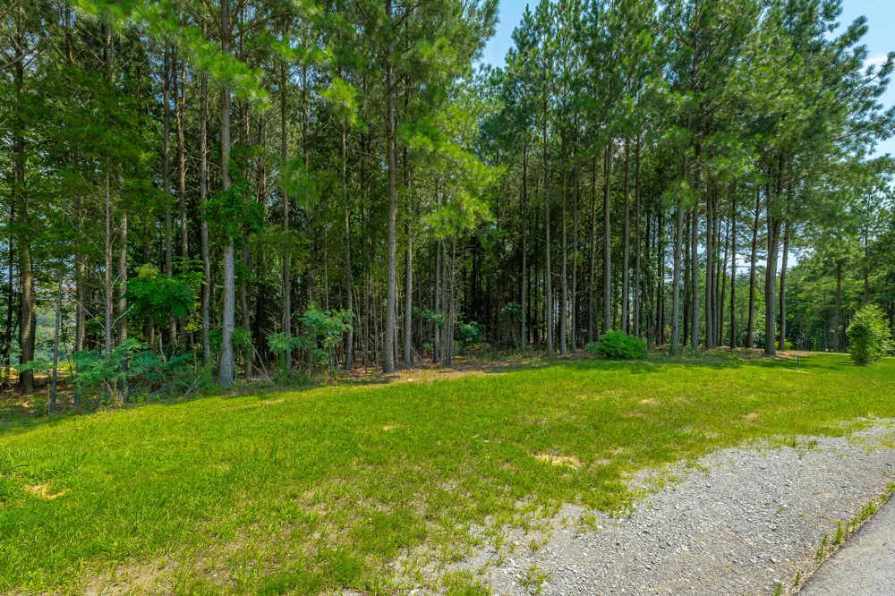 Crockett Loop Jasper, TN 37347