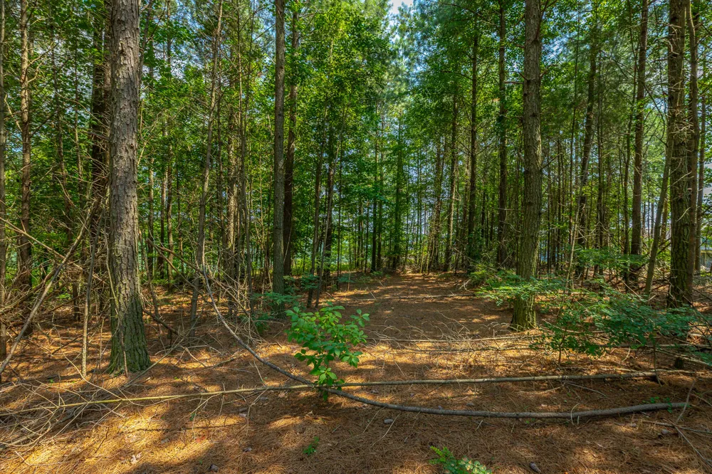 Crockett Loop Jasper, TN 37347