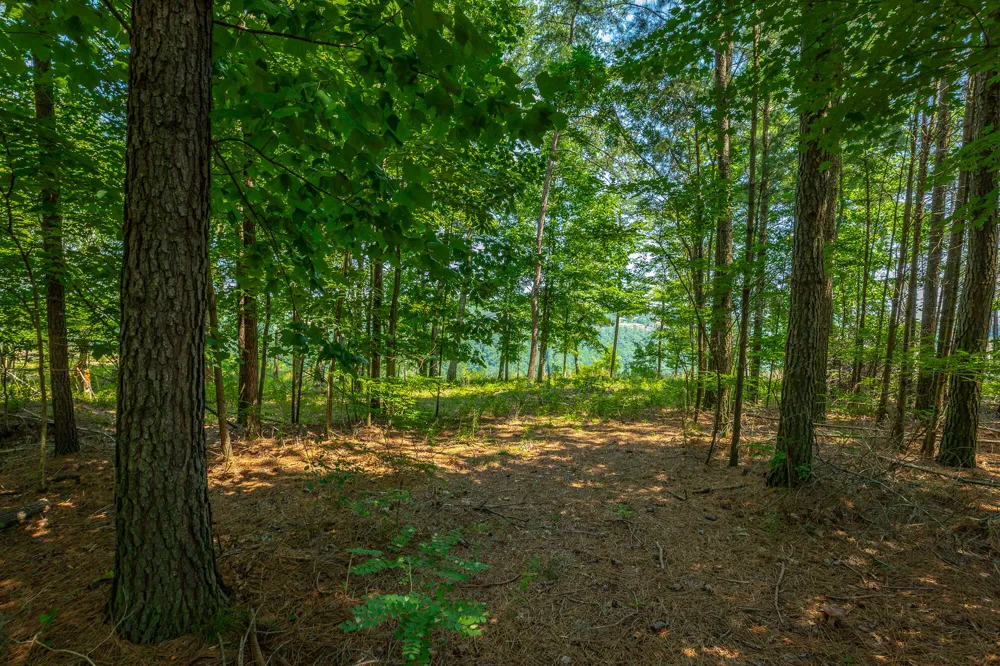 Crockett Loop Jasper, TN 37347