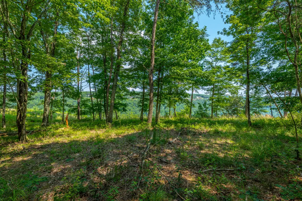 Crockett Loop Jasper, TN 37347