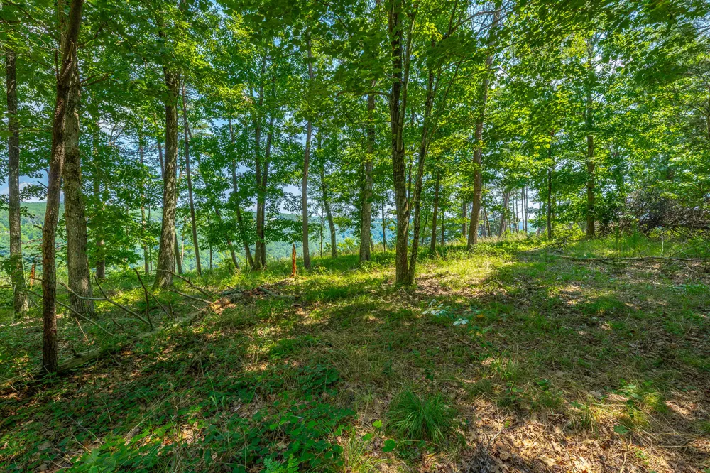 Crockett Loop Jasper, TN 37347