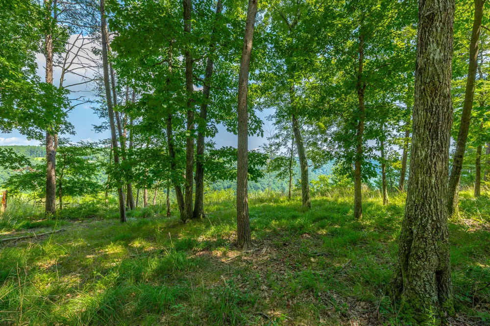 Crockett Loop Jasper, TN 37347