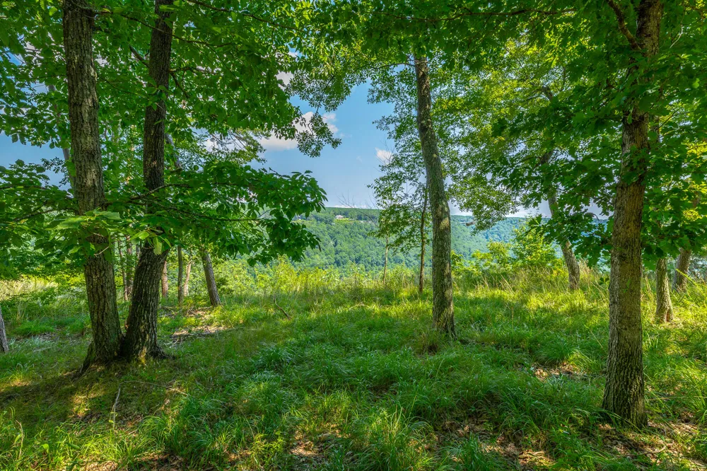 Crockett Loop Jasper, TN 37347