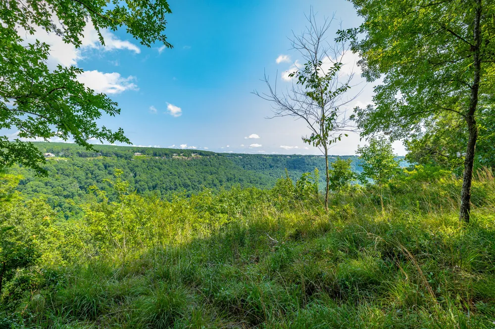 Crockett Loop Jasper, TN 37347