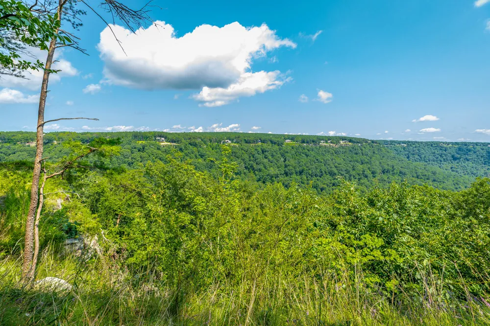 Crockett Loop Jasper, TN 37347