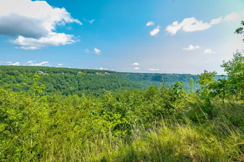 Crockett Loop