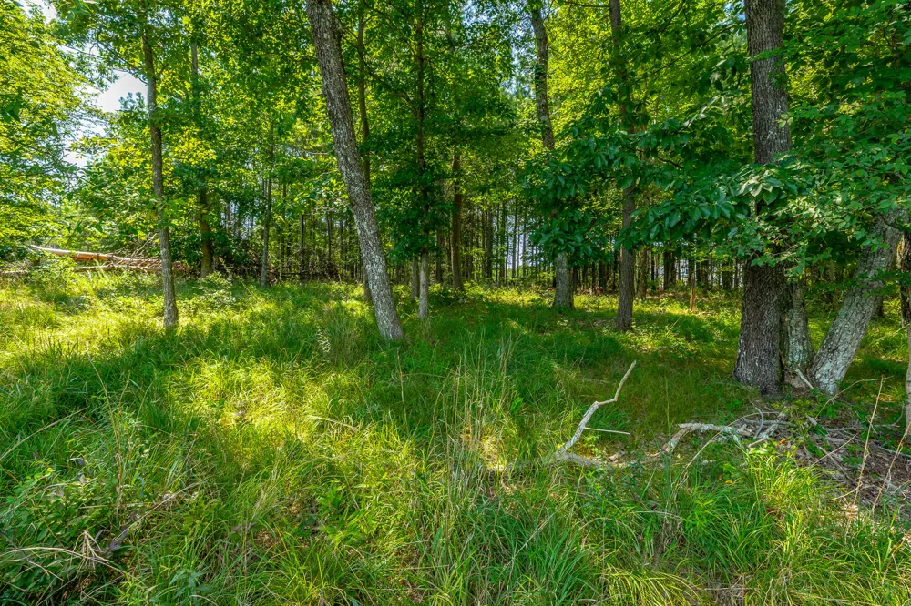 Crockett Loop Jasper, TN 37347