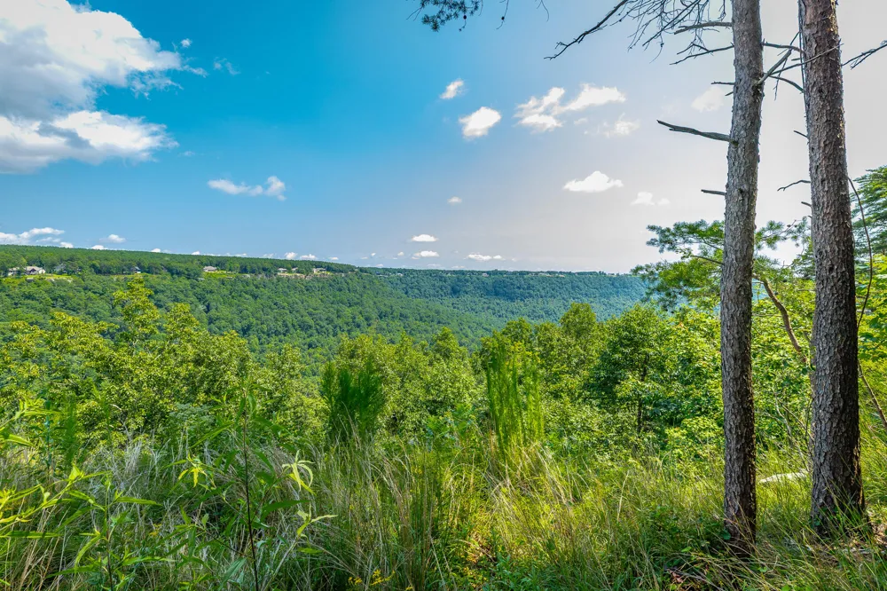 Crockett Loop Jasper, TN 37347
