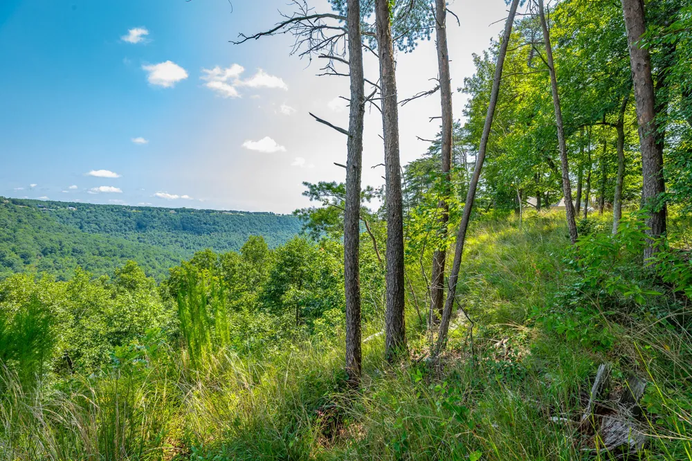 Crockett Loop Jasper, TN 37347