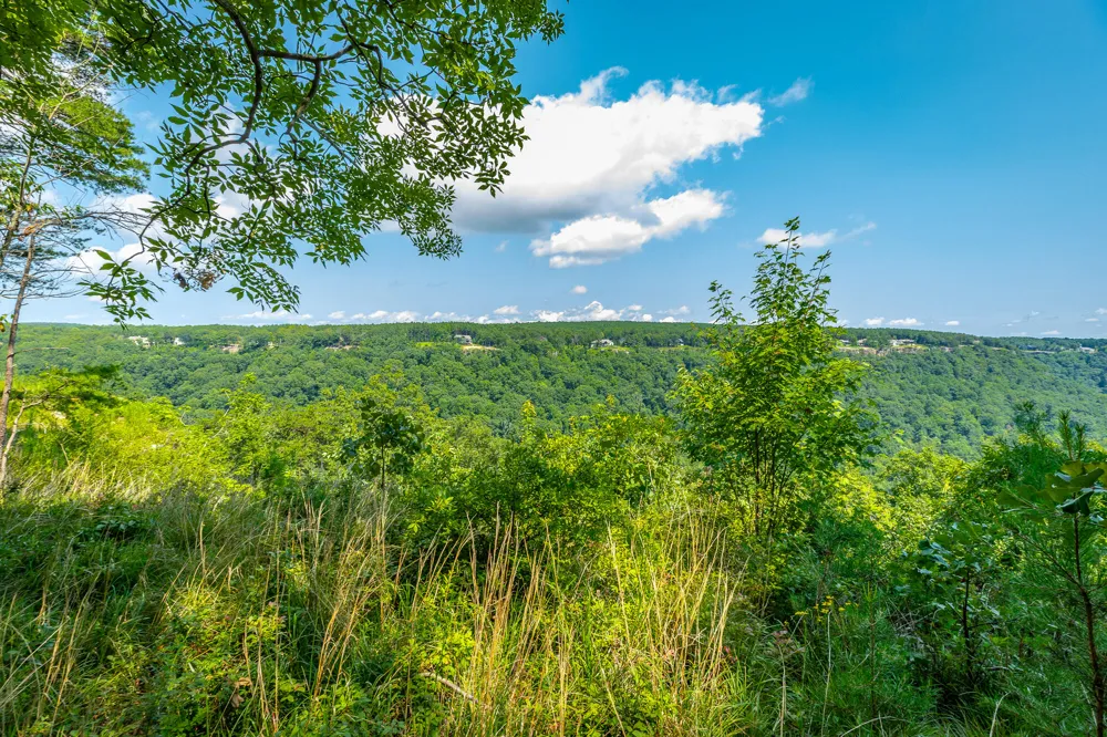 Crockett Loop Jasper, TN 37347