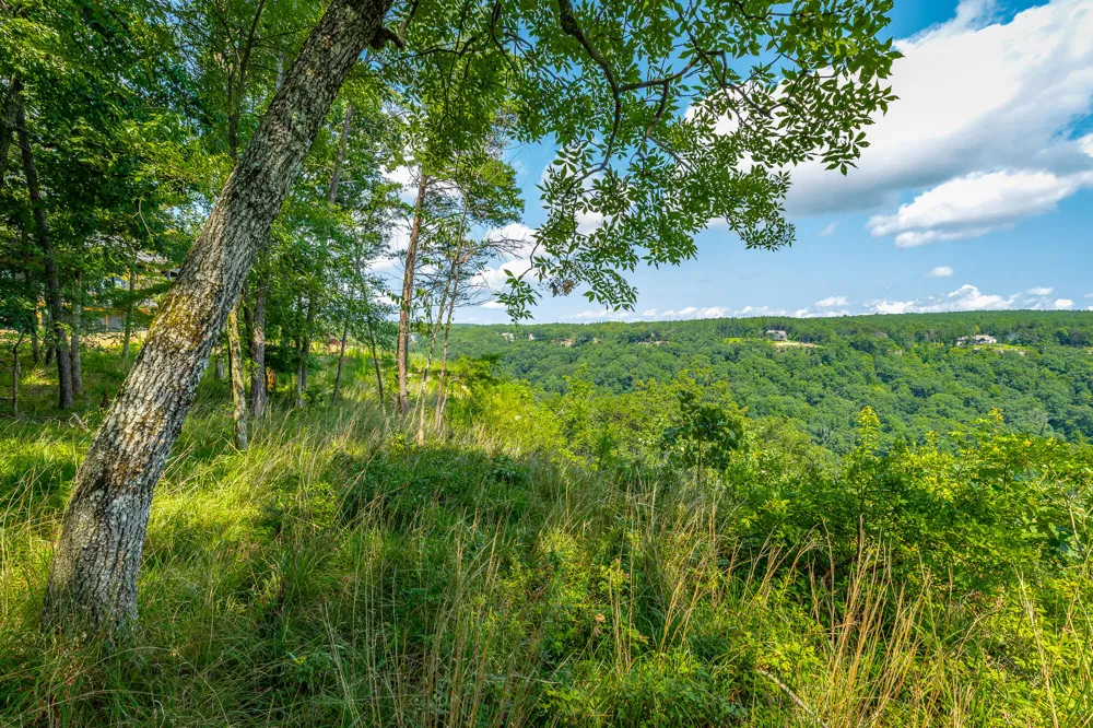 Crockett Loop Jasper, TN 37347