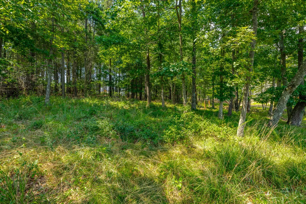 Crockett Loop Jasper, TN 37347