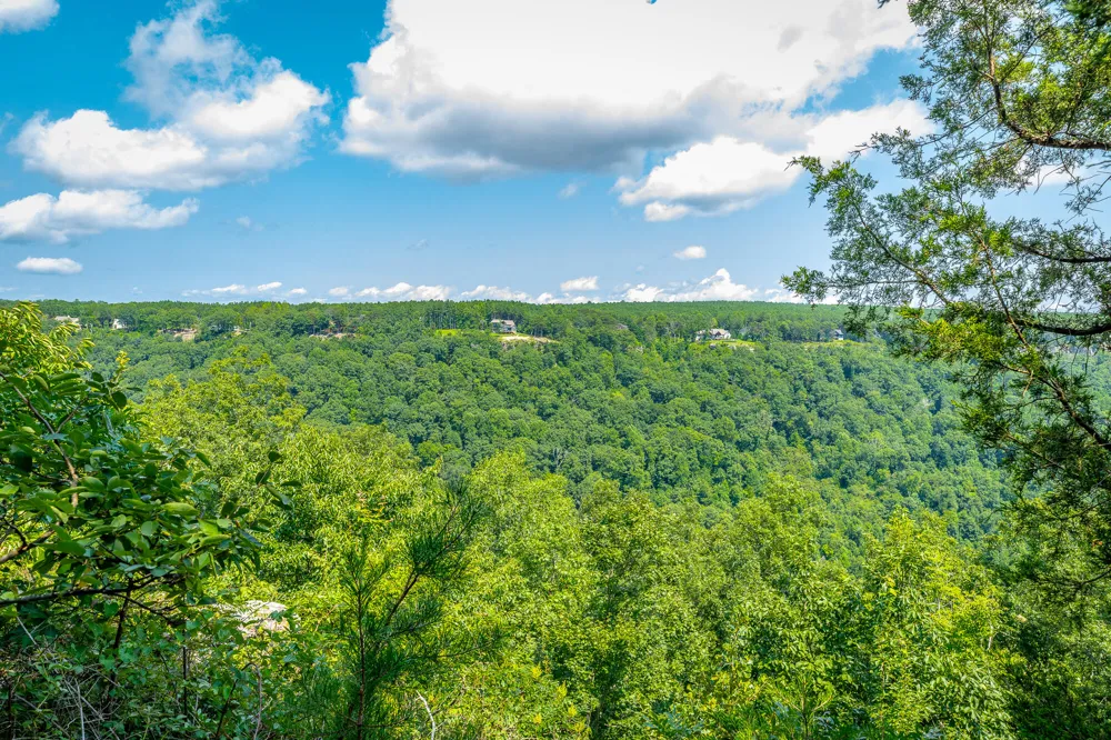 Crockett Loop Jasper, TN 37347