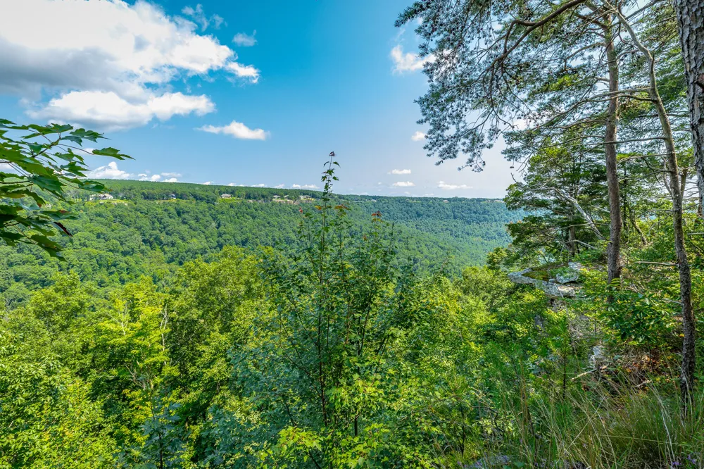 Crockett Loop Jasper, TN 37347