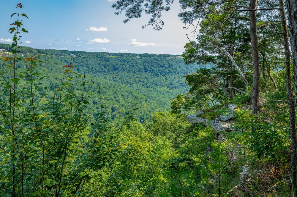 Crockett Loop Jasper, TN 37347