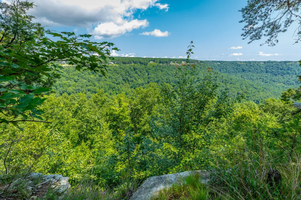 Crockett Loop Jasper, TN 37347
